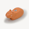 Capybara Charm
